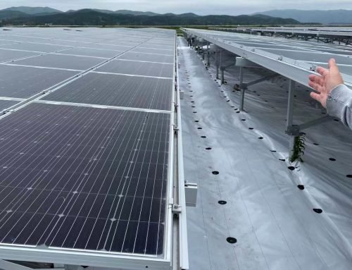 Sendai Japan 2MW Bifacial Solar project